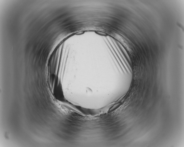 X0000096131140200802081319