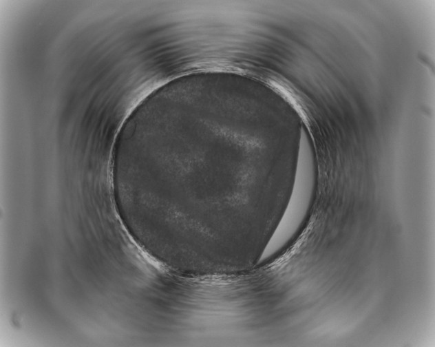 X0000096131141200802081319