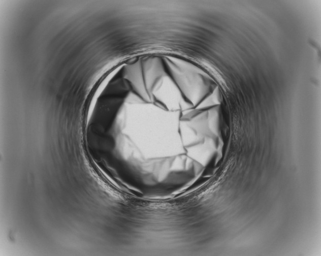 X0000096131142200802081319