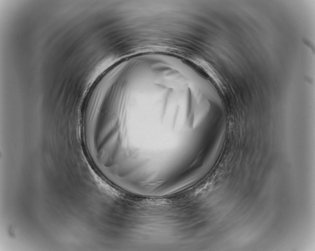 X0000096131143200802081319