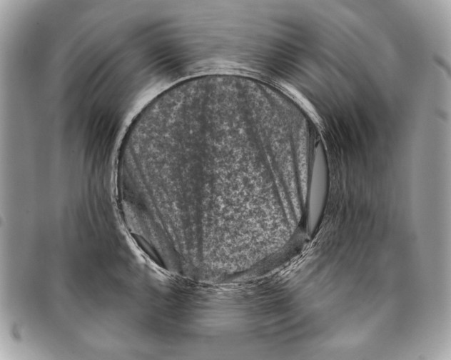 X0000096131144200802081319