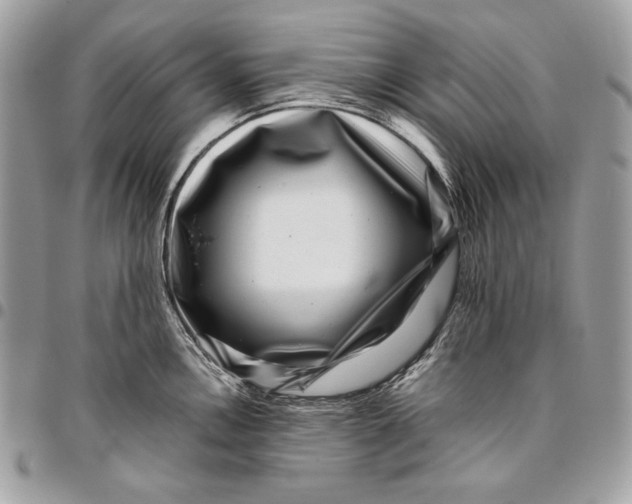 X0000096131146200802081319