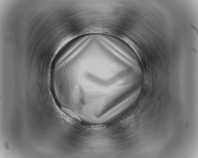 X0000096131147200802081319