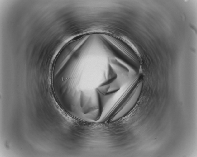 X0000096131148200802081319