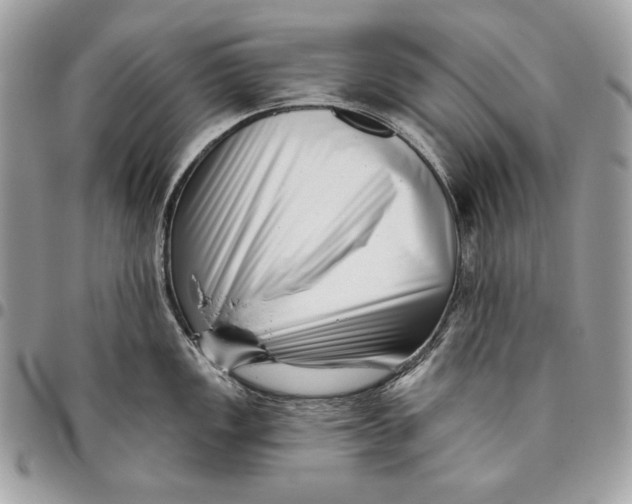 X0000096131149200802081319