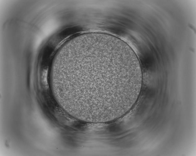 X0000096131150200802081319