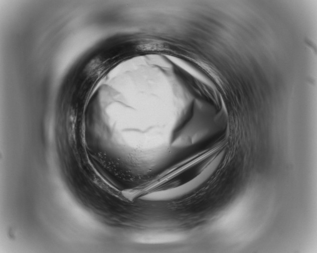 X0000096131151200802081319