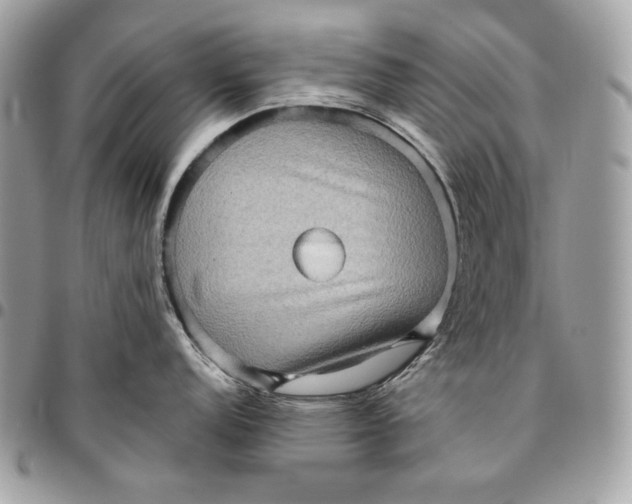 X0000096131152200802081319