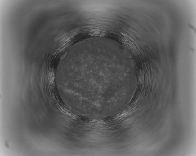 X0000096131154200802081319