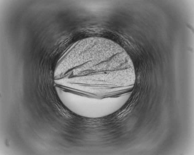 X0000096131156200802081319