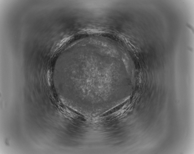 X0000096131157200802081318