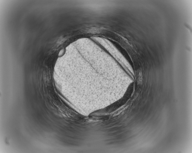 X0000096131158200802081318