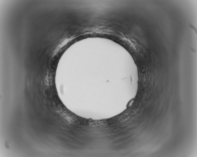 X0000096131159200802081318