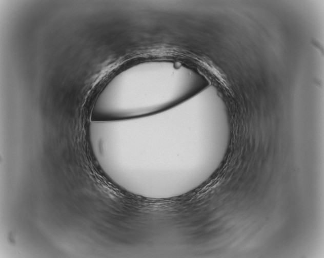 X0000096131160200802081318