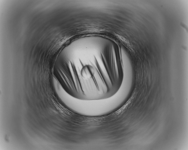 X0000096131161200802081318