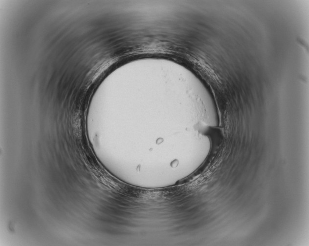 X0000096131162200802081318