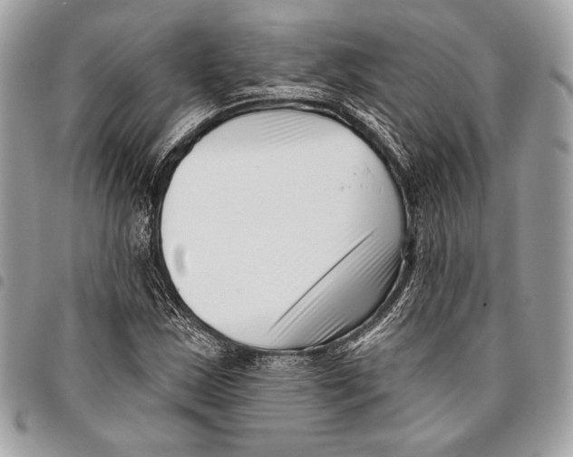 X0000096131163200802081318