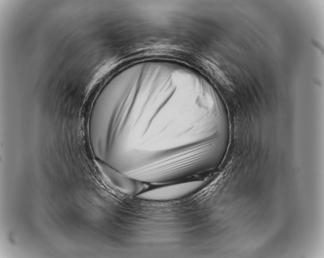 X0000096131164200802081318