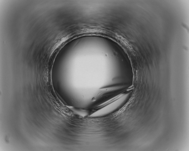X0000096131165200802081318