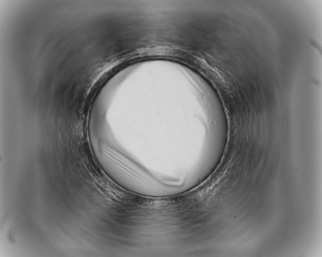 X0000096131166200802081318