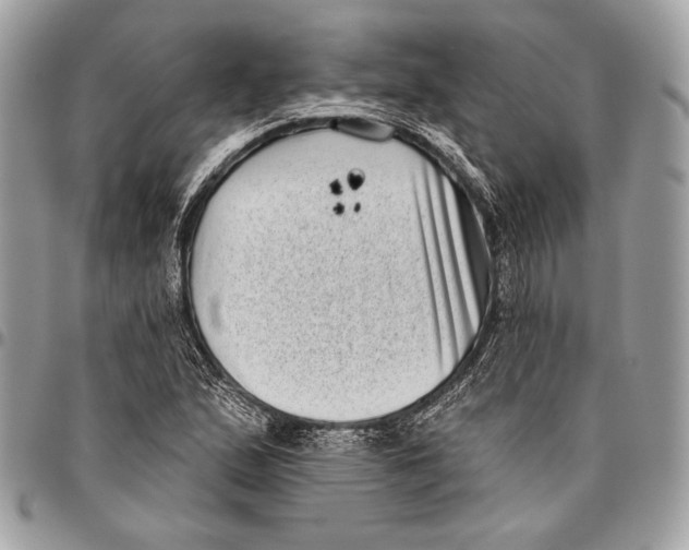 X0000096131167200802081318