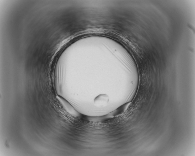 X0000096131168200802081318