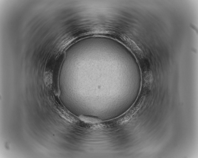 X0000096131169200802081318
