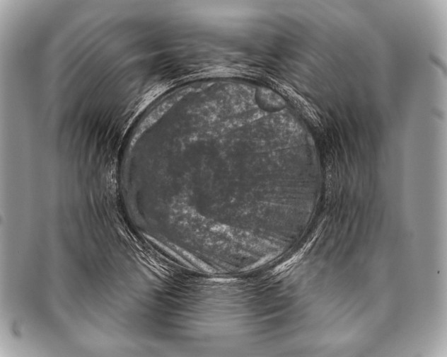 X0000096131170200802081318