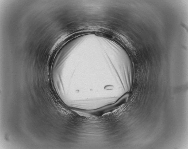 X0000096131172200802081318