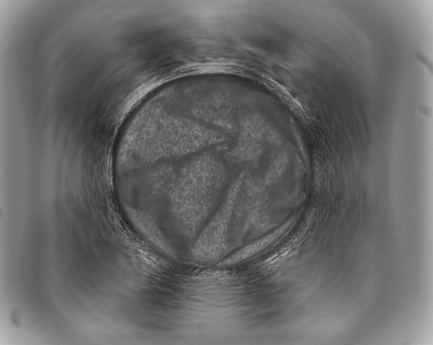 X0000096131174200802081318
