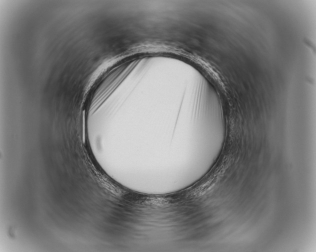 X0000096131175200802081318