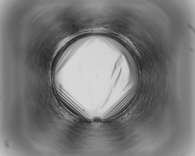 X0000096131176200802081318