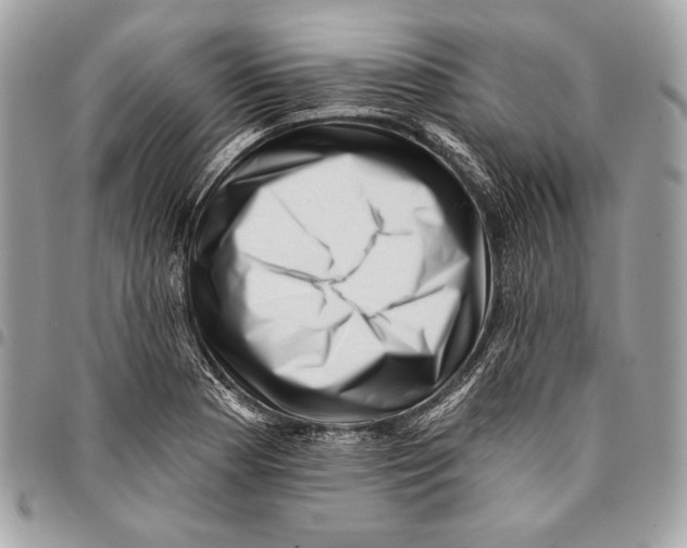 X0000096131177200802081318