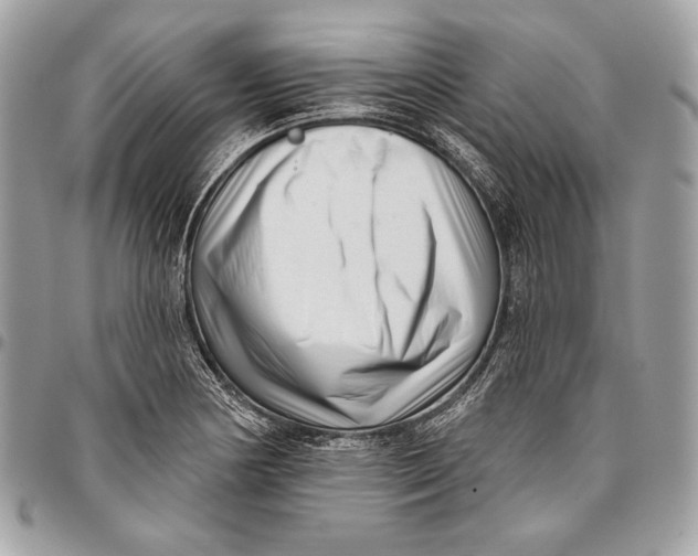 X0000096131178200802081318