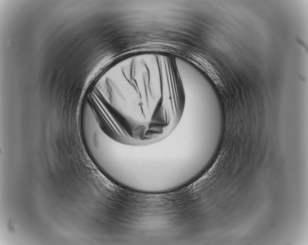 X0000096131180200802081318