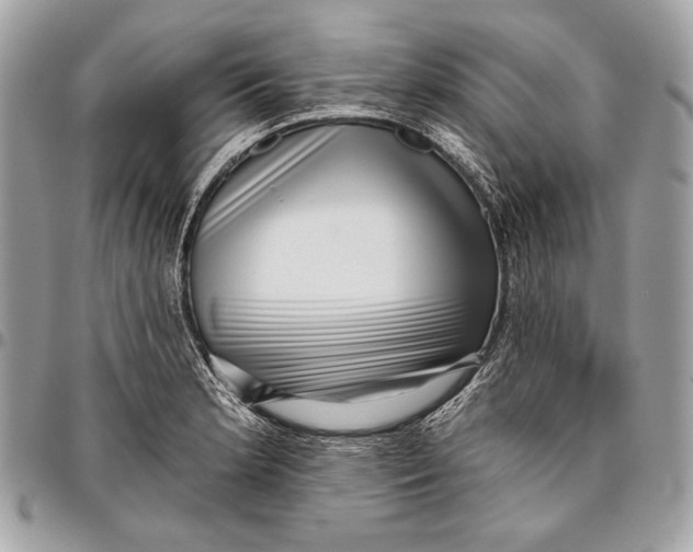 X0000096131181200802081318
