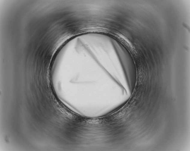 X0000096131182200802081318