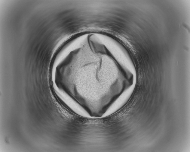 X0000096131183200802081318