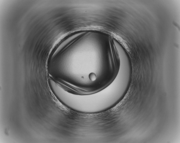 X0000096131184200802081318
