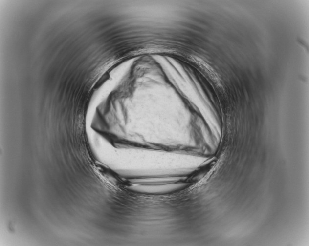 X0000096131185200802081318