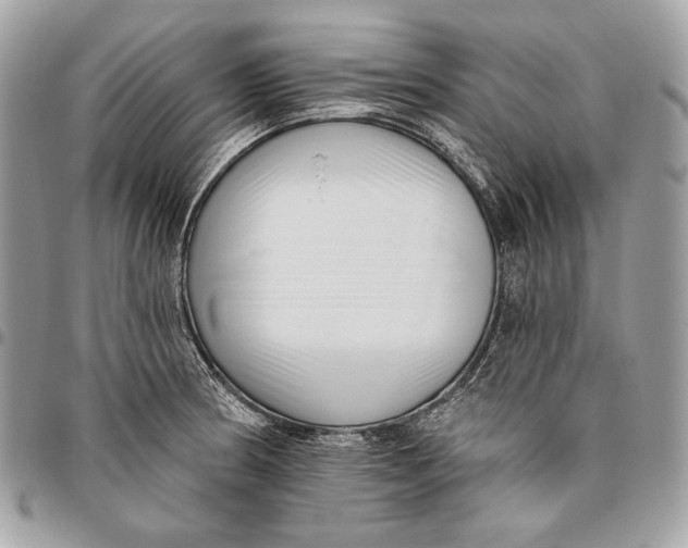 X0000096131186200802081318