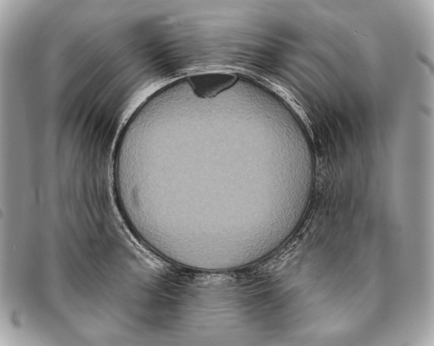 X0000096131187200802081318