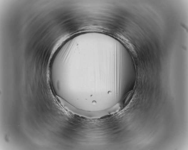 X0000096131188200802081318