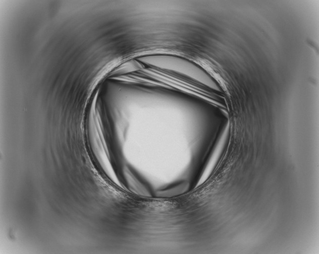 X0000096131189200802081318