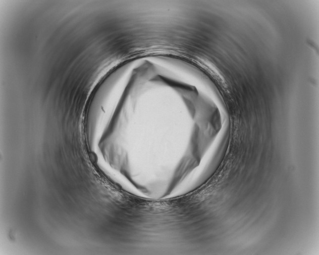 X0000096131190200802081318