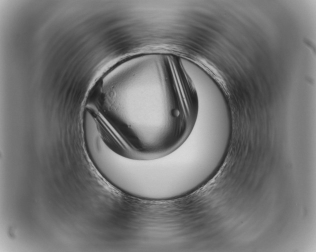 X0000096131192200802081318