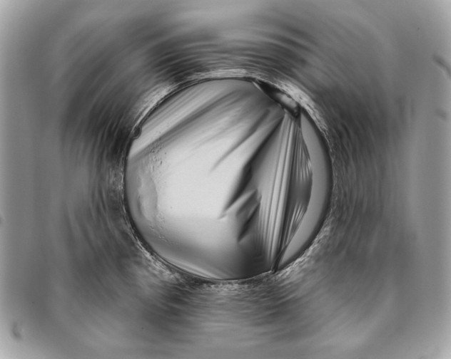 X0000096131193200802081318