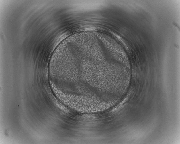 X0000096131194200802081318