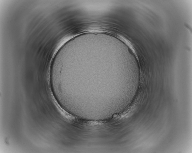 X0000096131195200802081318