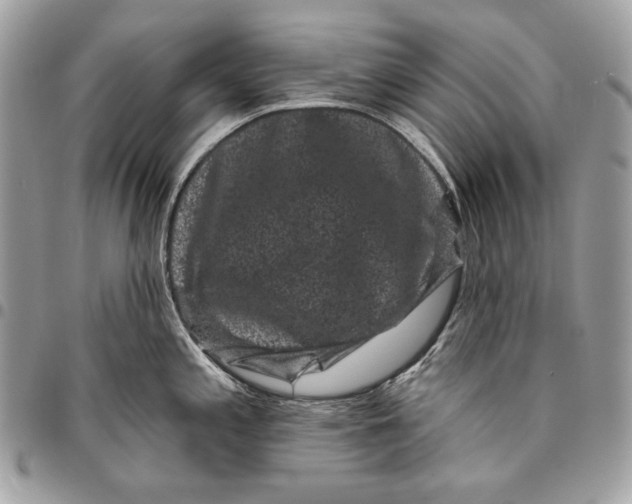 X0000096131197200802081318